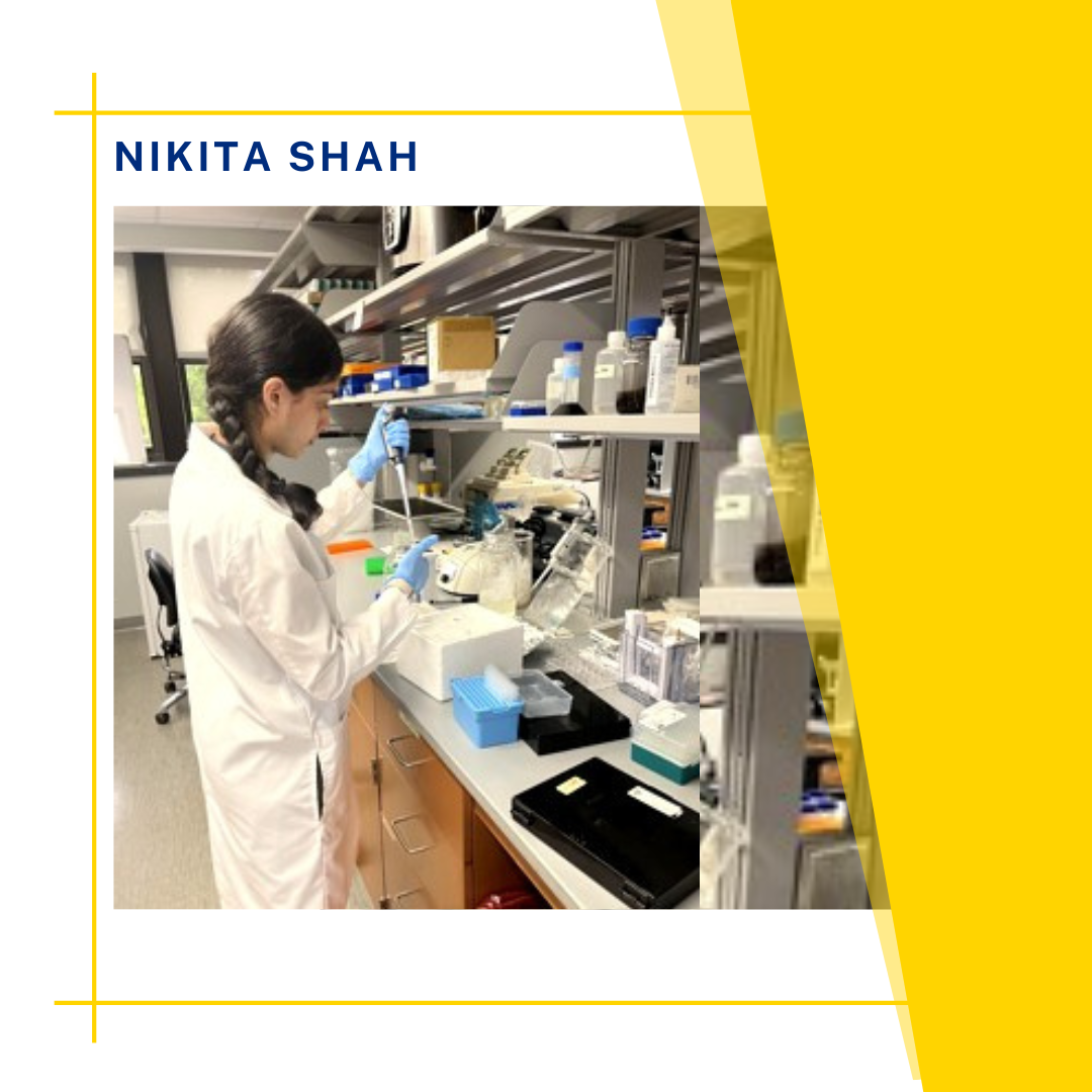 Premier Value, Education, and Careers